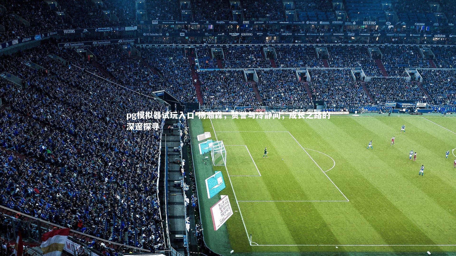 pg模拟器试玩入口-杨瀚森，赞誉与冷静间，成长之路的深邃探寻